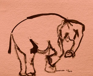 Boceto de elefante a tinta