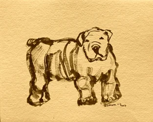 Boceto expresivo de bulldog