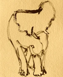 Dibujo expresivo de elefante