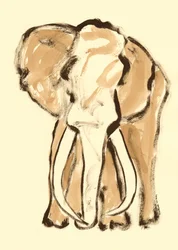 Boceto expresivo de elefante