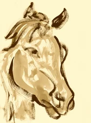 Cabeza de caballo expresiva