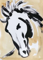 Expresiva cabeza de caballo