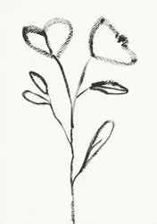 Boceto floral minimalista