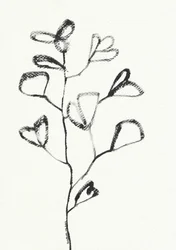 Dibujo orgánico de hoja