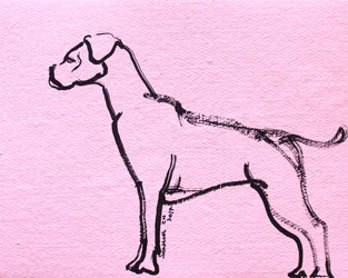 Arte lineal de bóxer rosa
