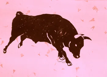 Toro rosa embistiendo