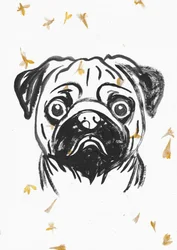 Pug con pétalos que caen