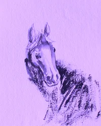 Retrato de caballo morado
