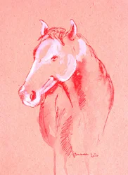 Boceto de caballo rojo