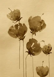 Flores en acuarela sepia