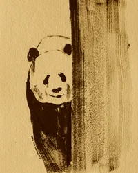 Panda tímido asomándose