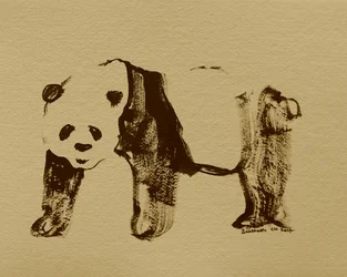 Dibujo estilizado de panda