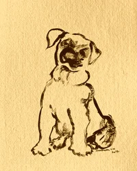 Boceto de un dulce cachorro