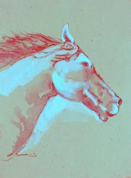 Cabeza de caballo llena de vida