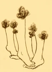 Caprichosas flores con pies