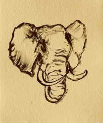 Dibujo de elefante salvaje