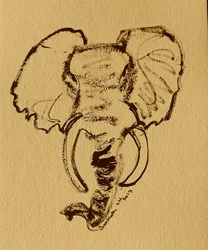 Boceto de un elefante salvaje