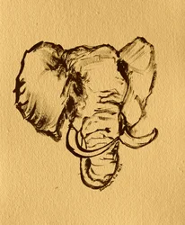 Boceto de elefante salvaje