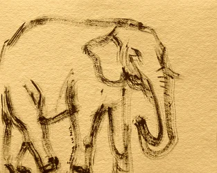 Boceto de elefante salvaje