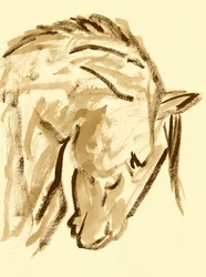 Boceto de caballo salvaje