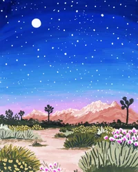 Noche estrellada en el desierto
