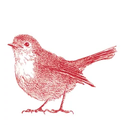Petirrojo, 2017
