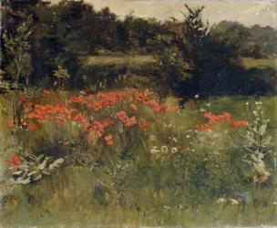 Amapolas, Reigate
