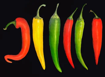 Cinco guindillas, 2024 (óleo sobre lienzo)