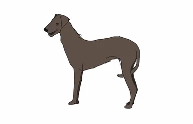 Sabueso