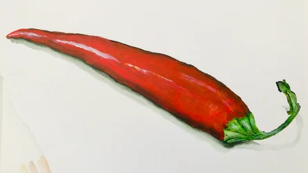 Chile rojo, 2020