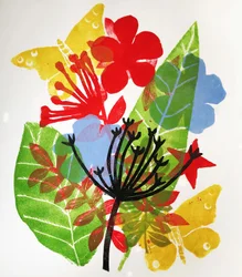 Cabezas de Semillas y Flores
