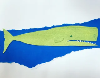 ballena, 2019