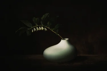Delicado bodegón oscuro con flores