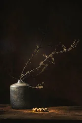 Bodegón botánico melancólico
