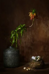 Nido floral melancólico