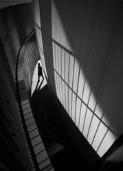 Paseo solitario entre sombras