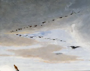 Aves en formación en V (detalle)