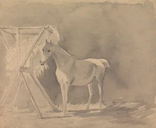 Un caballo pastando