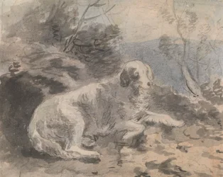 Un setter en un paisaje