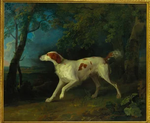 Un setter marrón y blanco en un paisaje boscoso, 1773