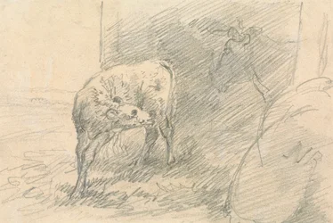 Ternero con cabeza de vaca