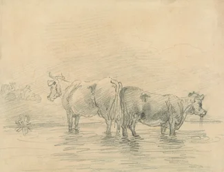 Ganado