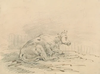 Vaca tumbada junto a una valla