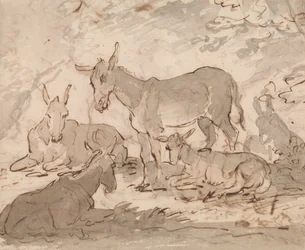 Burros
