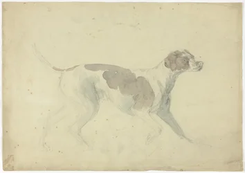 Fox Hound (anverso); Bocetos de caballo y jinete (reverso)