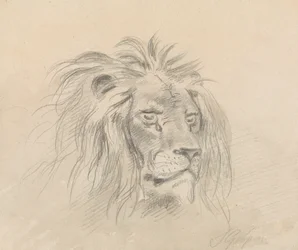 Cabeza de león