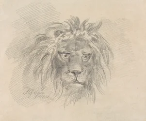 Cabeza de león