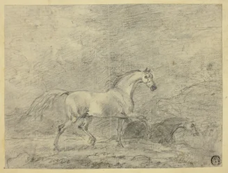 Caballos