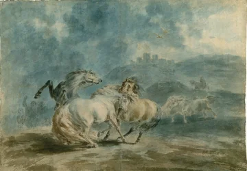 Caballos peleando (acuarela sobre grafito en papel de textura pesada)