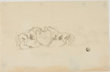 Caballos Luchando